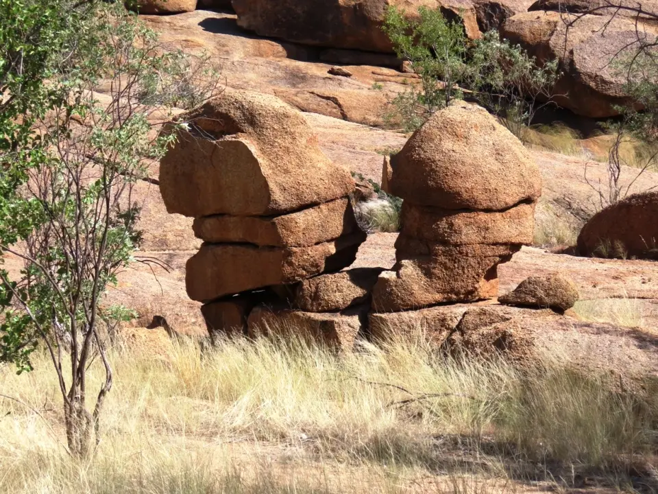IMG_9414.JPG