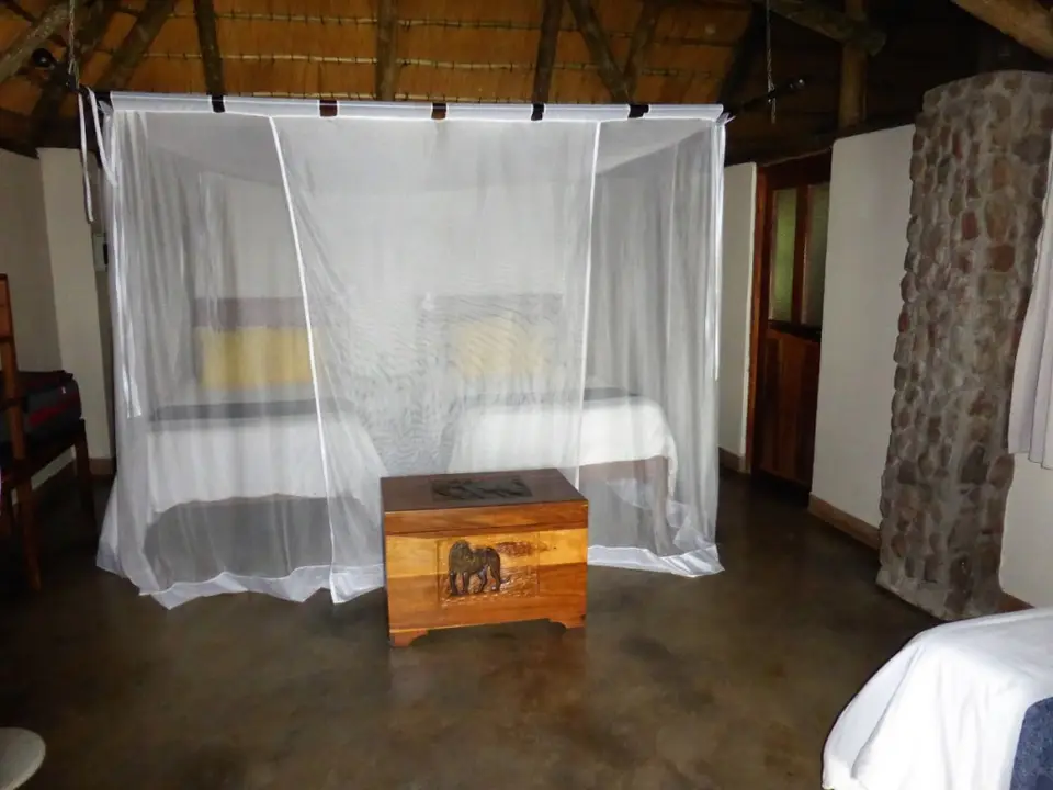 P1090077.JPG