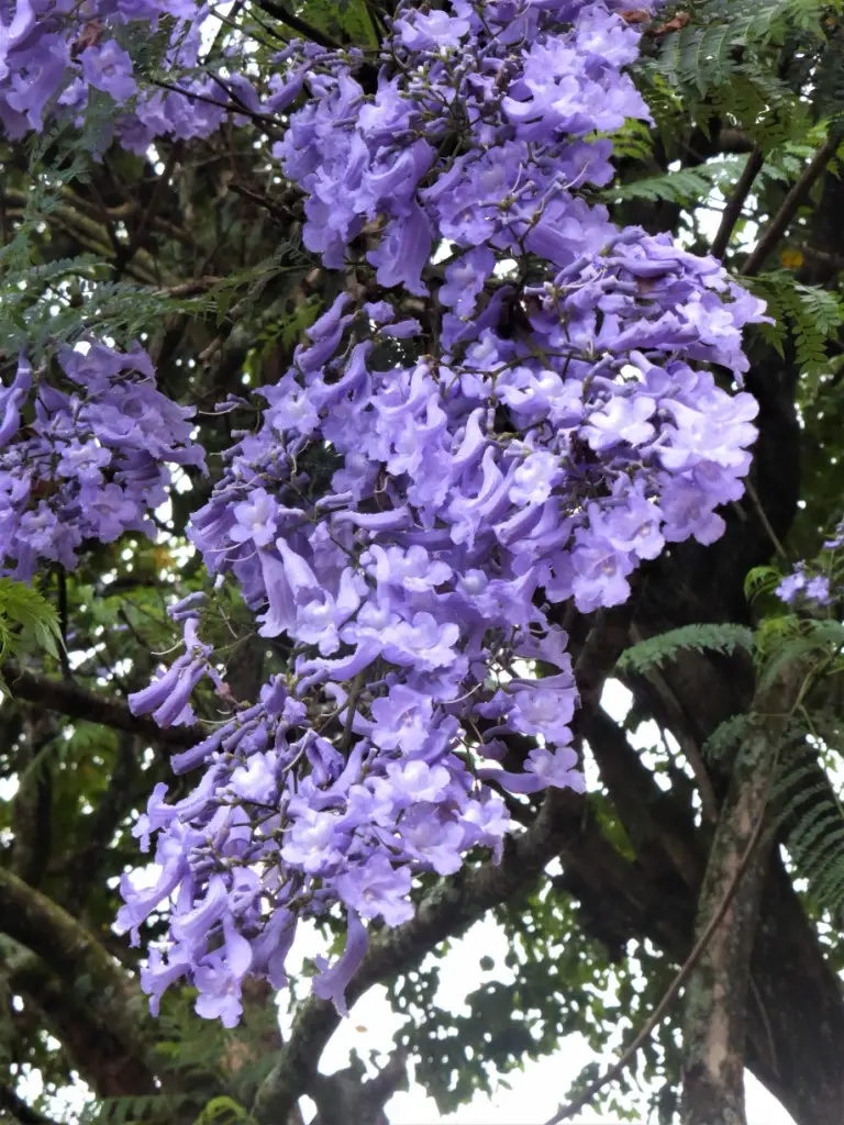 P1160363.JPG