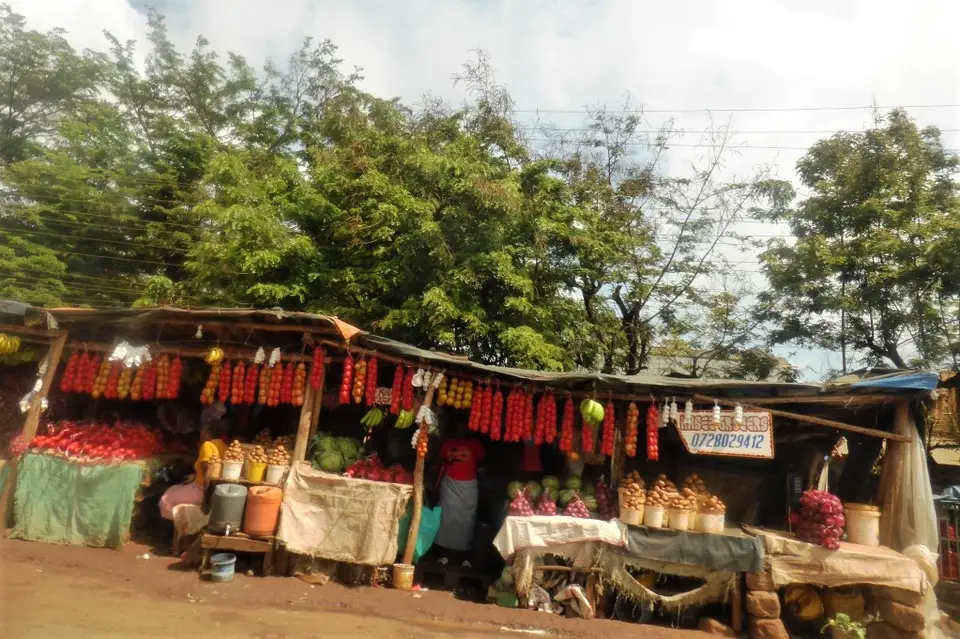 P1190320.JPG