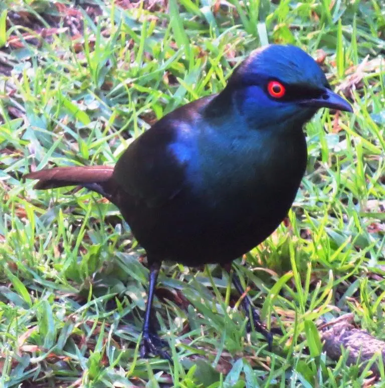 h66f42de.JPG