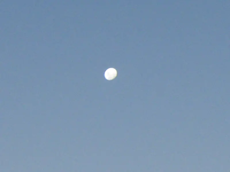 12DSCF4218a.JPG