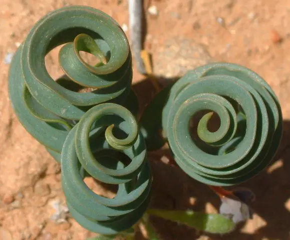 3DSCF7257a.JPG