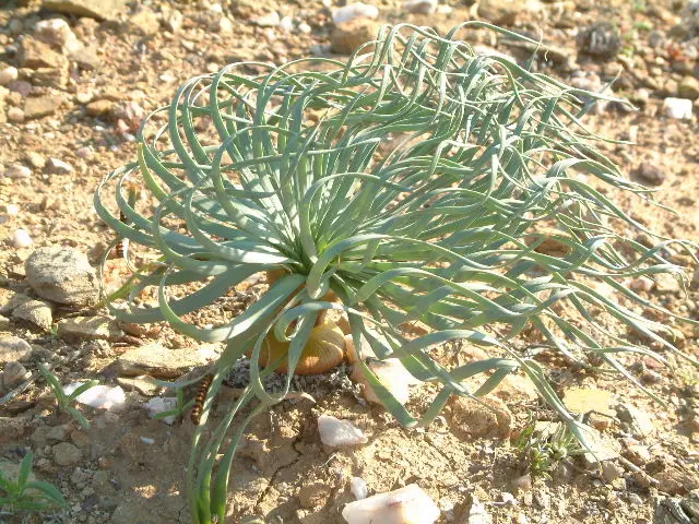5DSCF0274.JPG