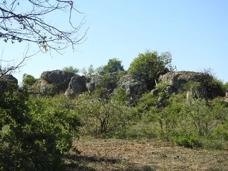 6DSCN5277.JPG