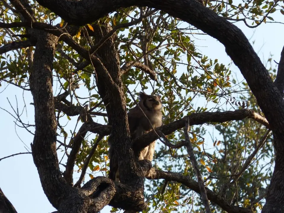 heacc671.JPG