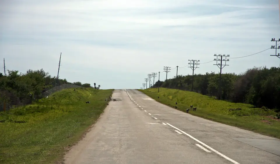 h00d9077.jpg