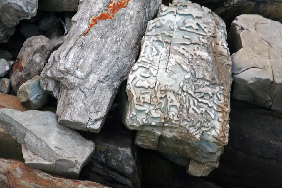h9146be9.jpg