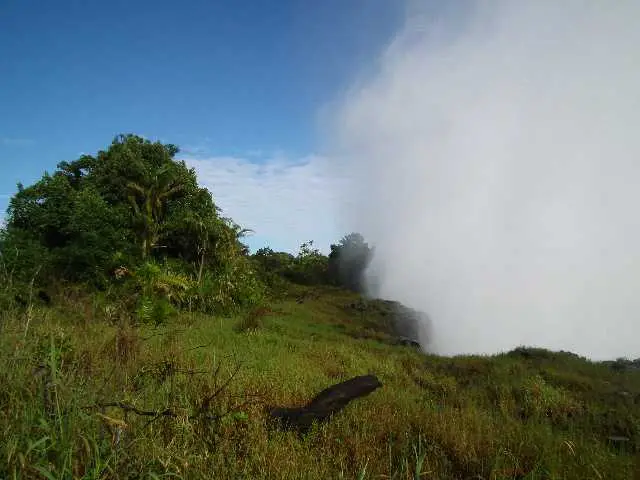 AfrikaMrz-Mai2011353.jpg