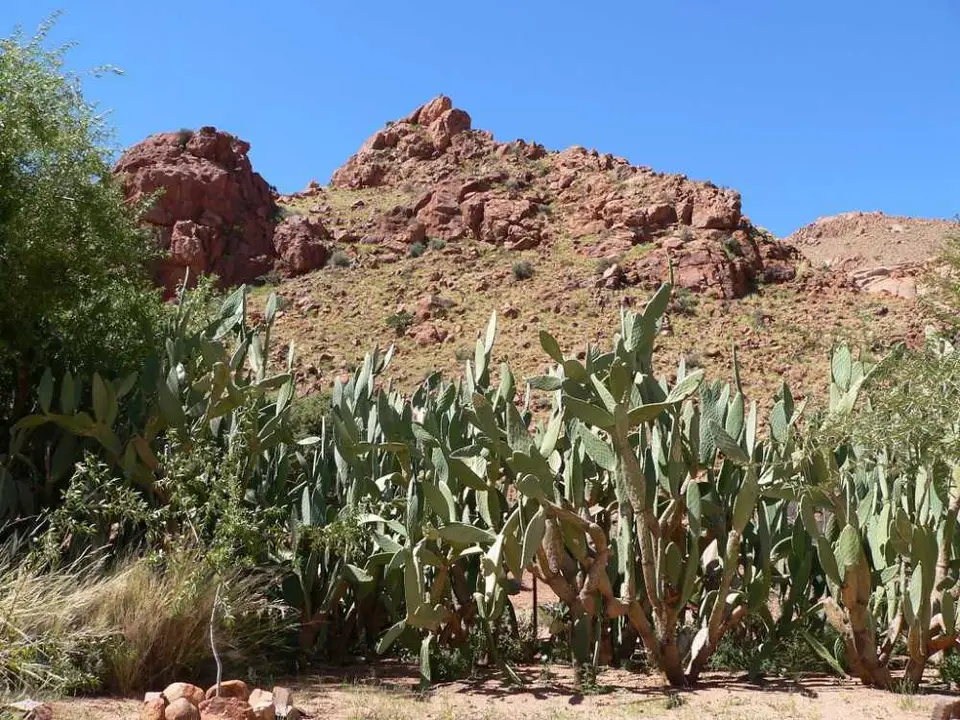 Botanical Trail16.jpg