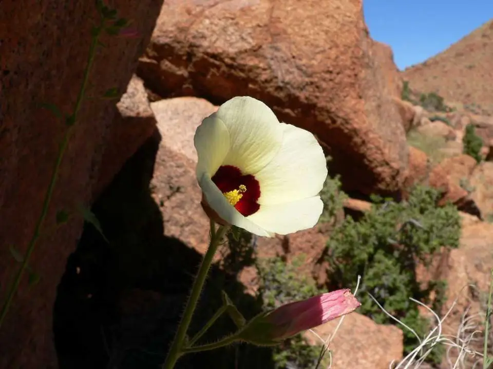 BotanicalTrail5.jpg