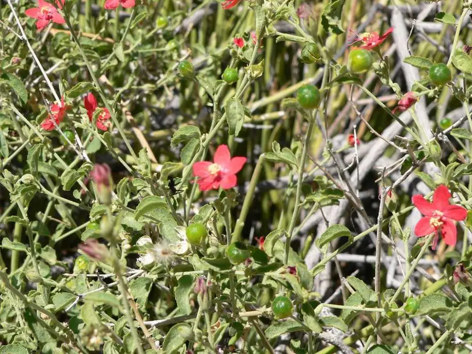 BotanicalTrail9.jpg