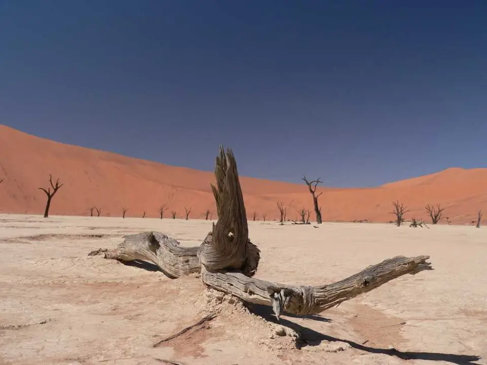 DeadVlei13.jpg