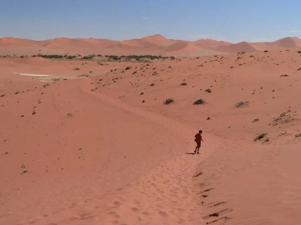 DeadVlei16.jpg