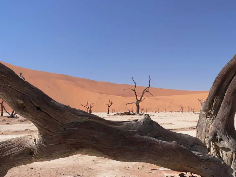 DeadVlei3.jpg
