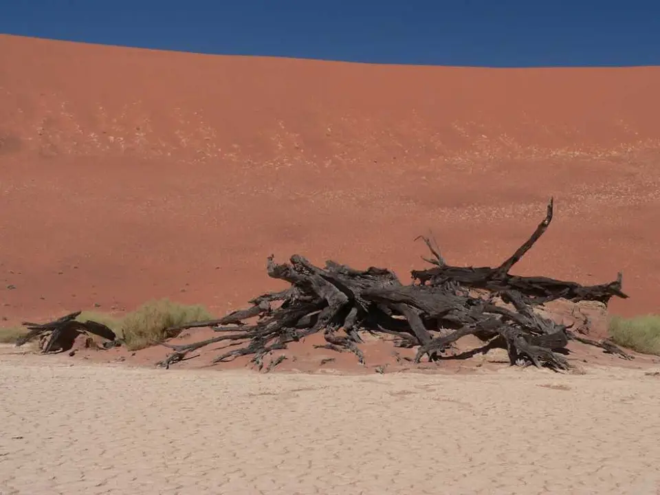 DeadVlei8.jpg