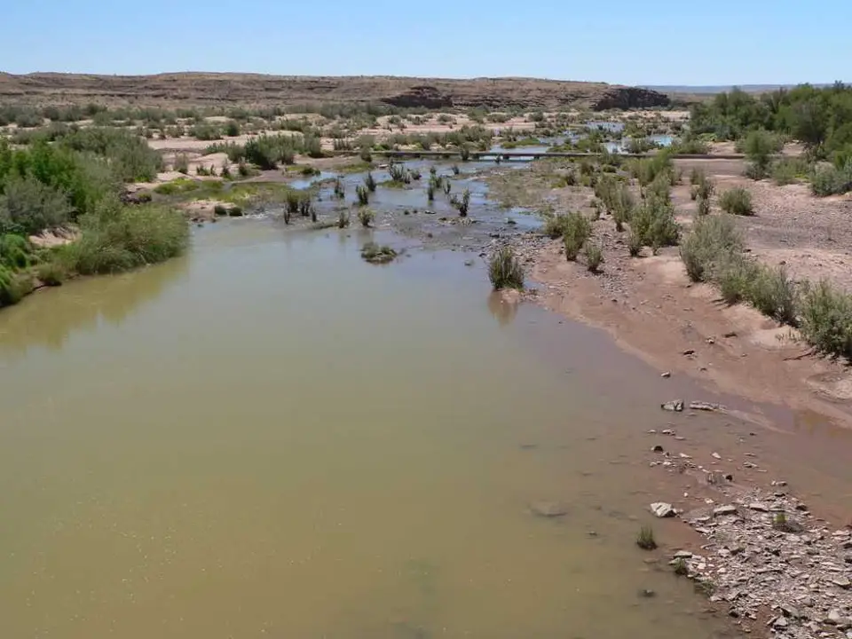 FishRiver2.jpg