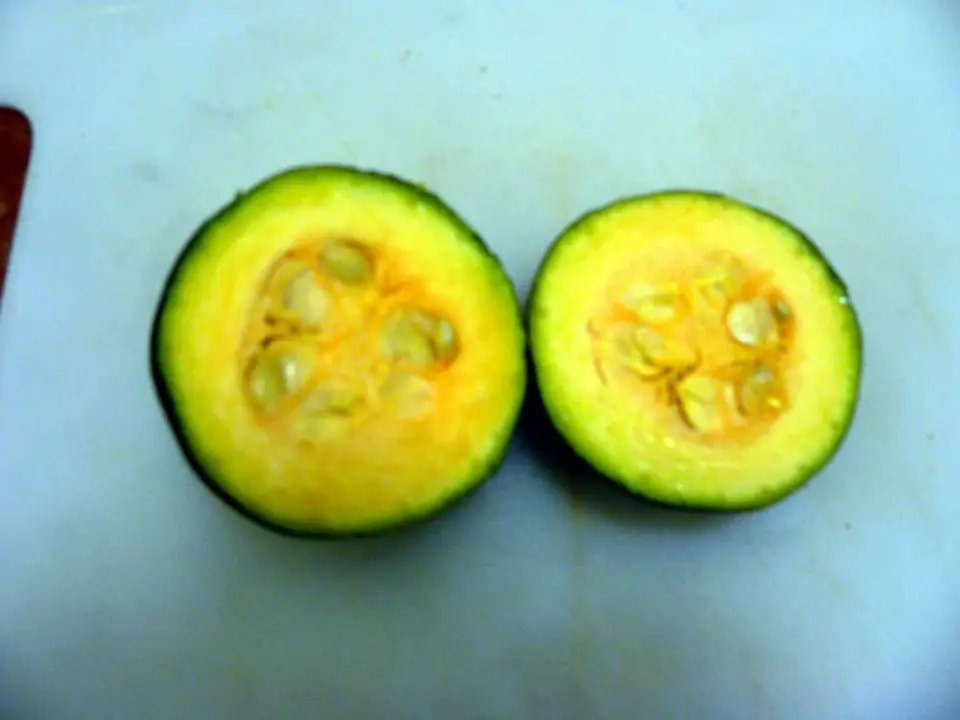 Gemsquash.jpg