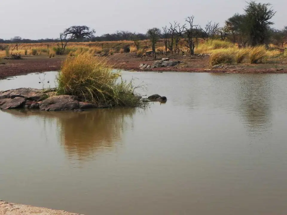 MapungubweWasserloch.jpg
