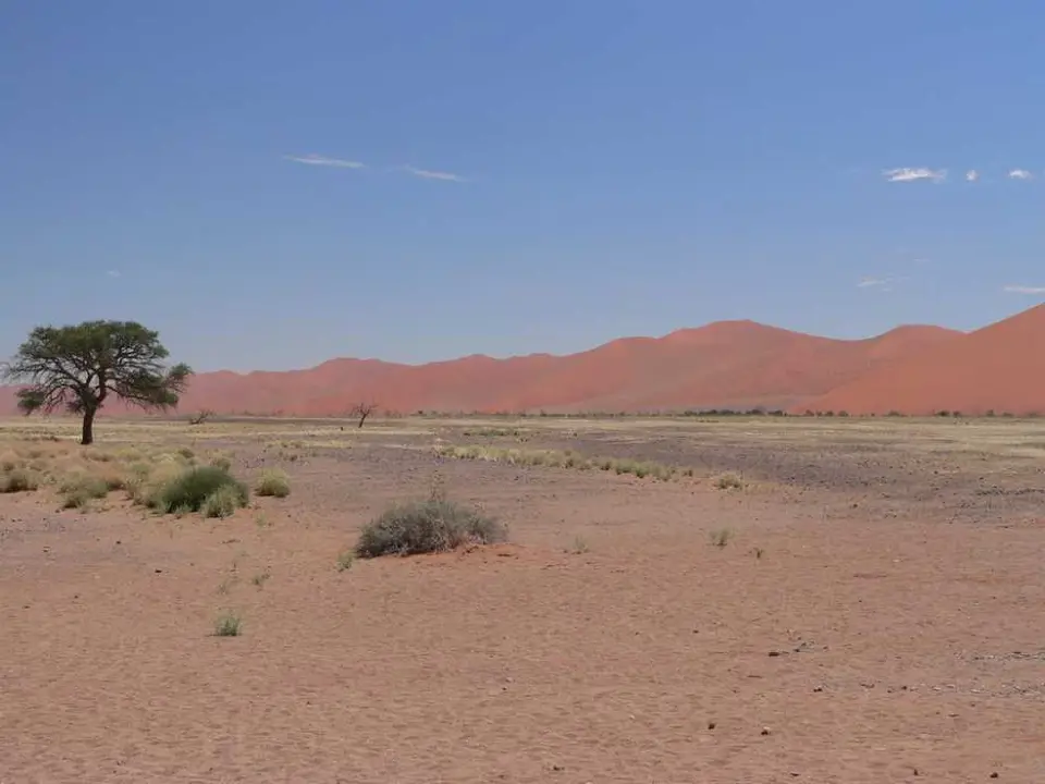 NaheDne45.jpg