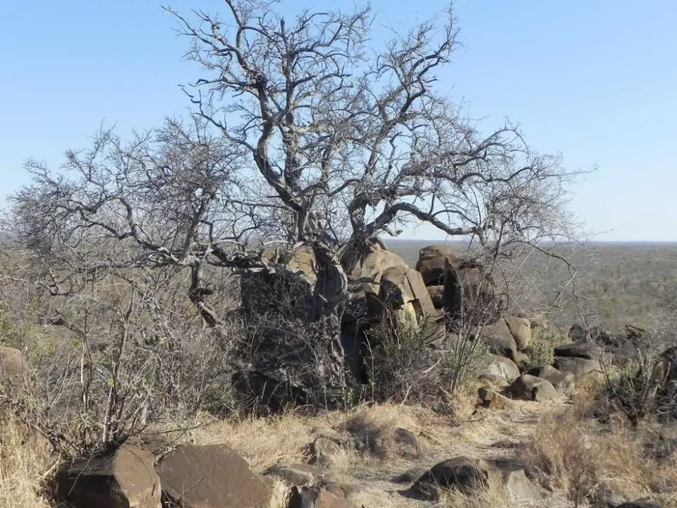 Tshanga Viewpoint.jpg