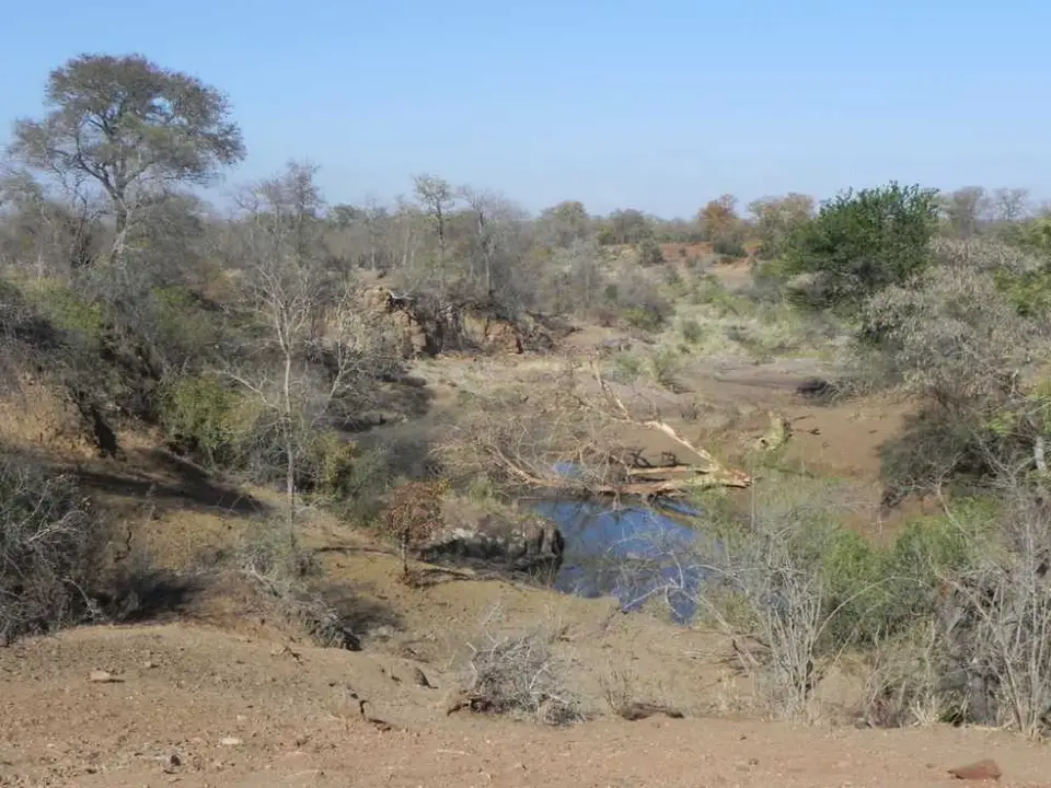 amMphongoloRiver.jpg