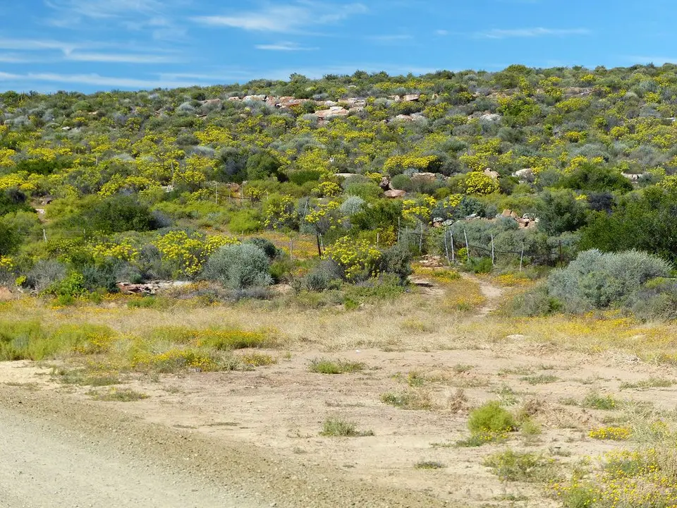 h0c27532.jpg