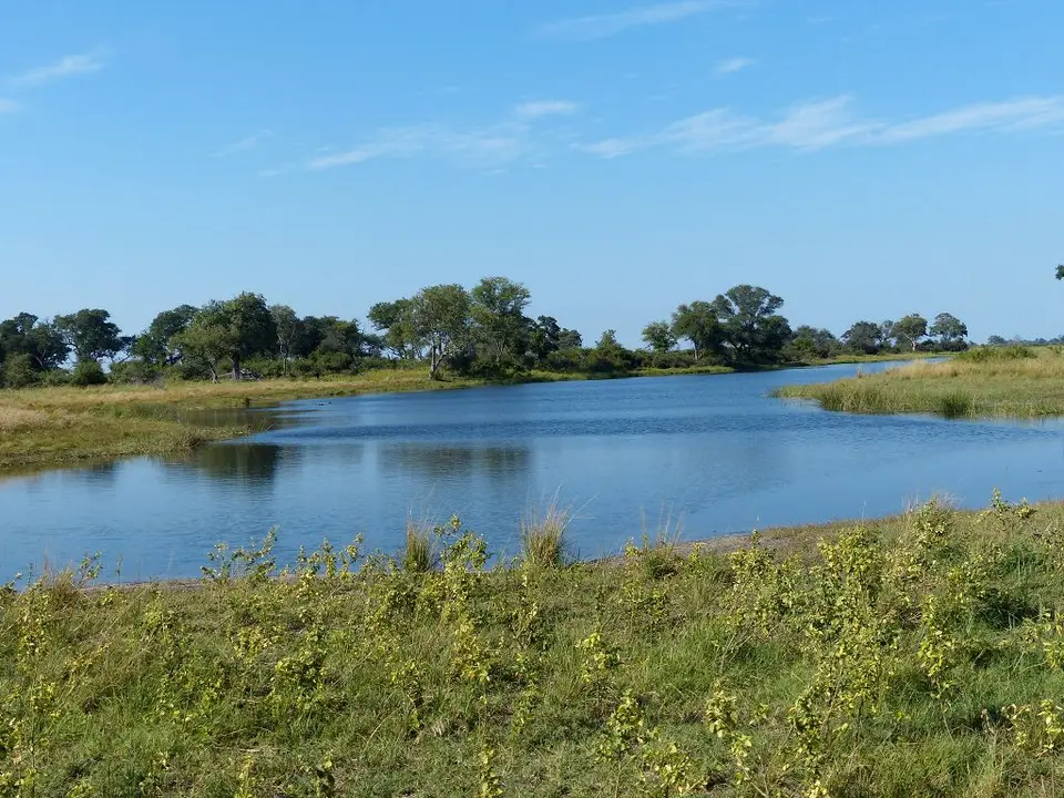 h0c387f4.jpg