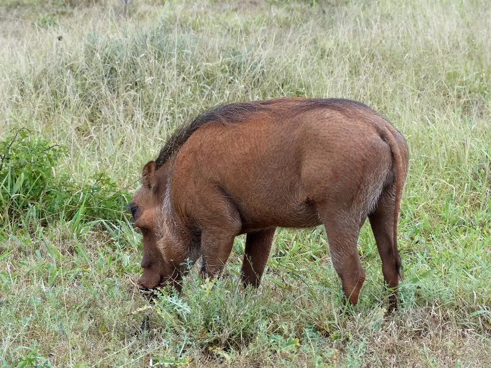 h0f662c9.jpg