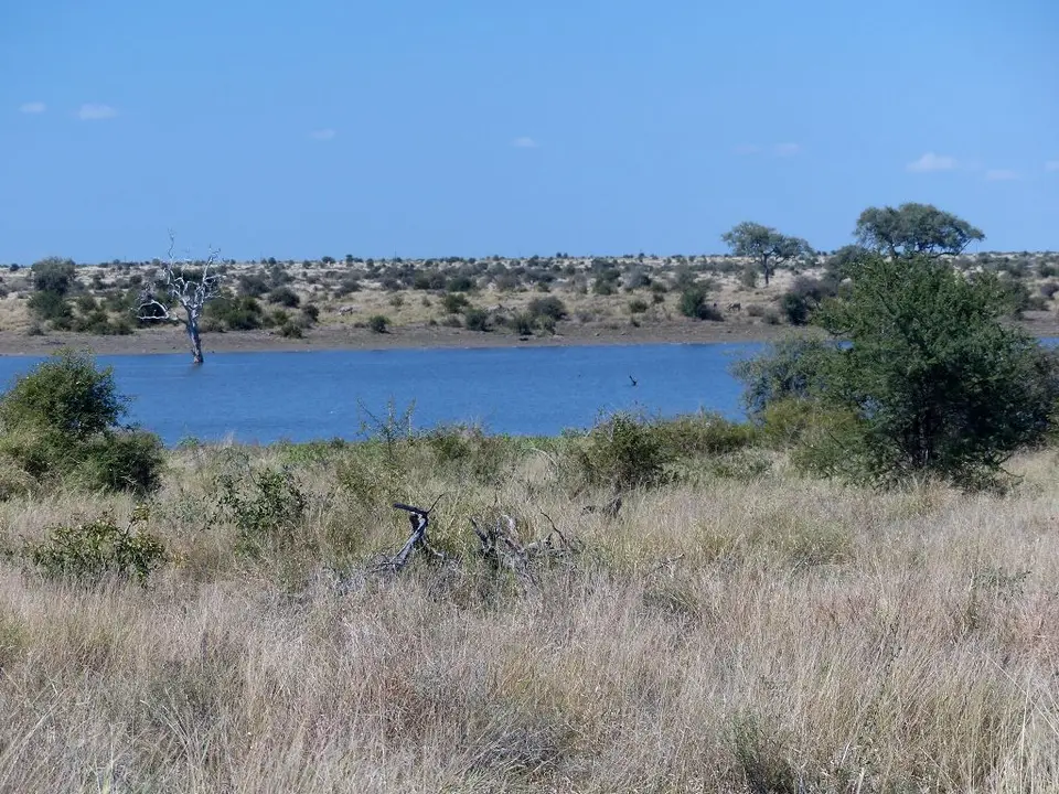 h12316da.jpg