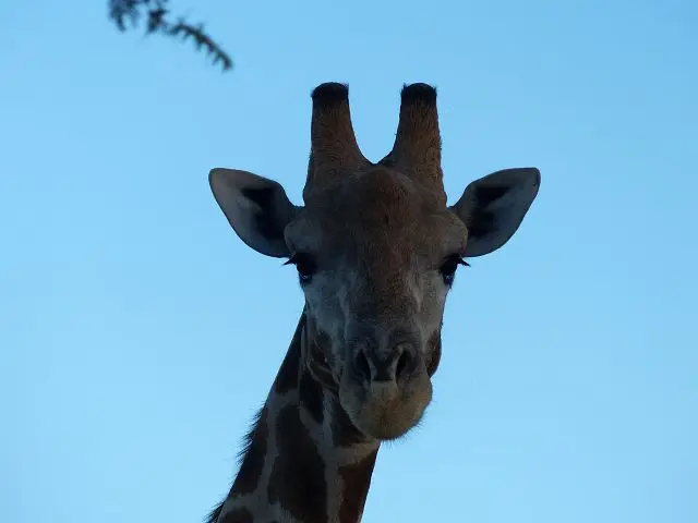 h15a6332.jpg