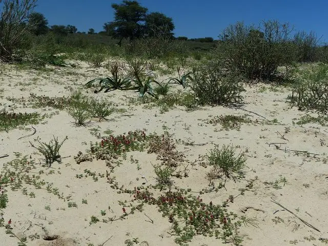 h30182af.jpg