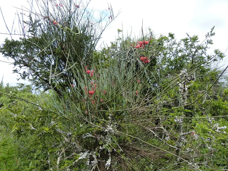 h37d709c.jpg