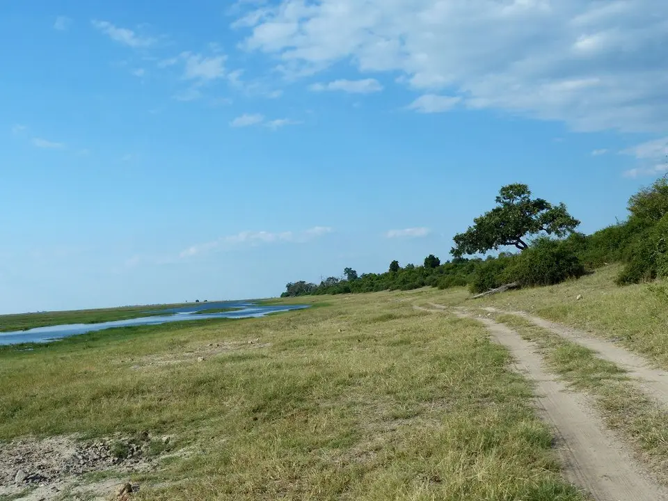 h55c242c.jpg