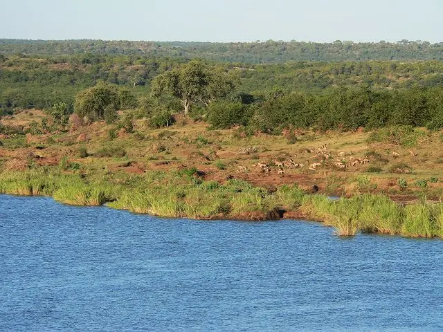 h5a30a2e.jpg