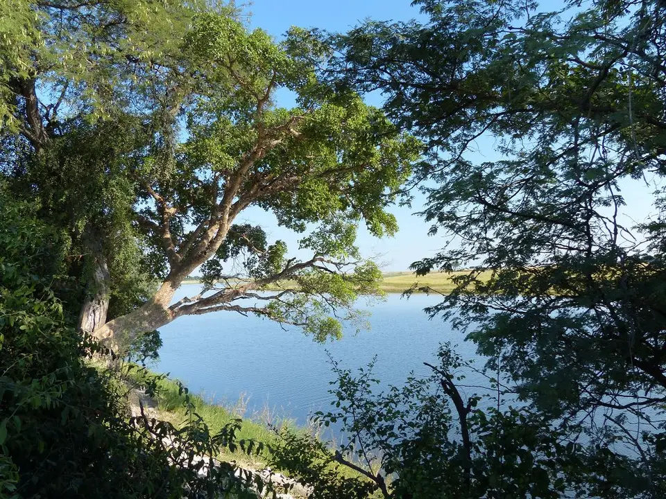 h6813055.jpg