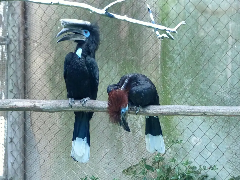 h92c3b11.jpg