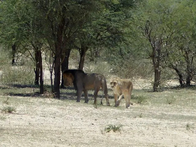 h9b354ce.jpg