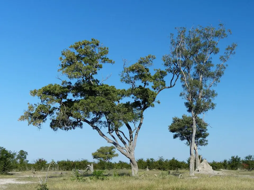 hc55f862.jpg