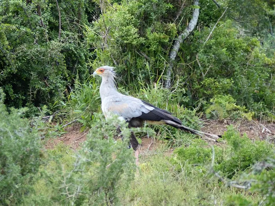 hc56a3c0.jpg