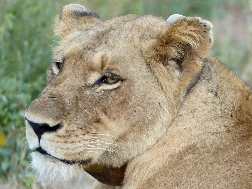 hd696693.jpg