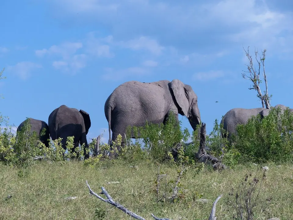 hde37d97.jpg