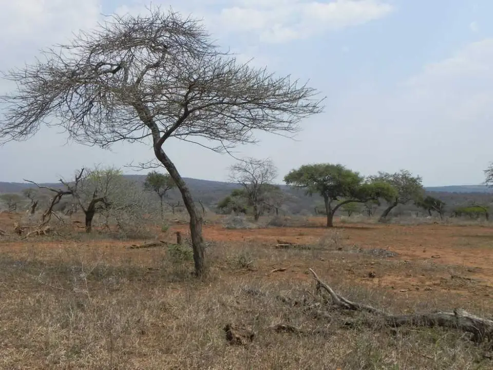 imfolozi.jpg