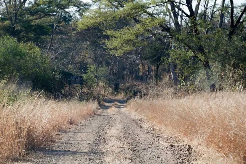 Botswana2011-1258.jpg