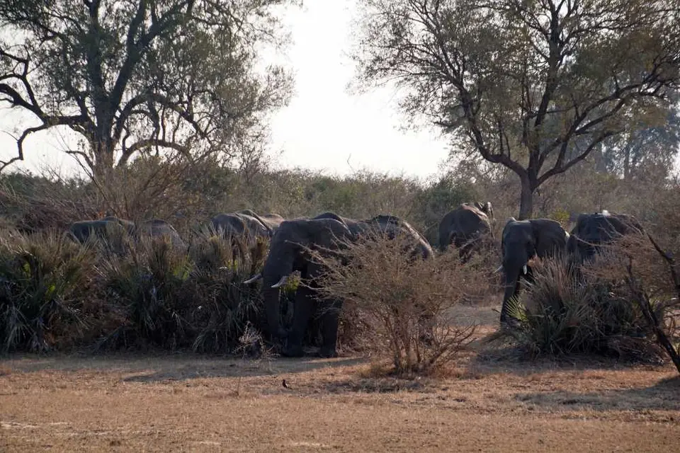 Botswana2011-3300.jpg