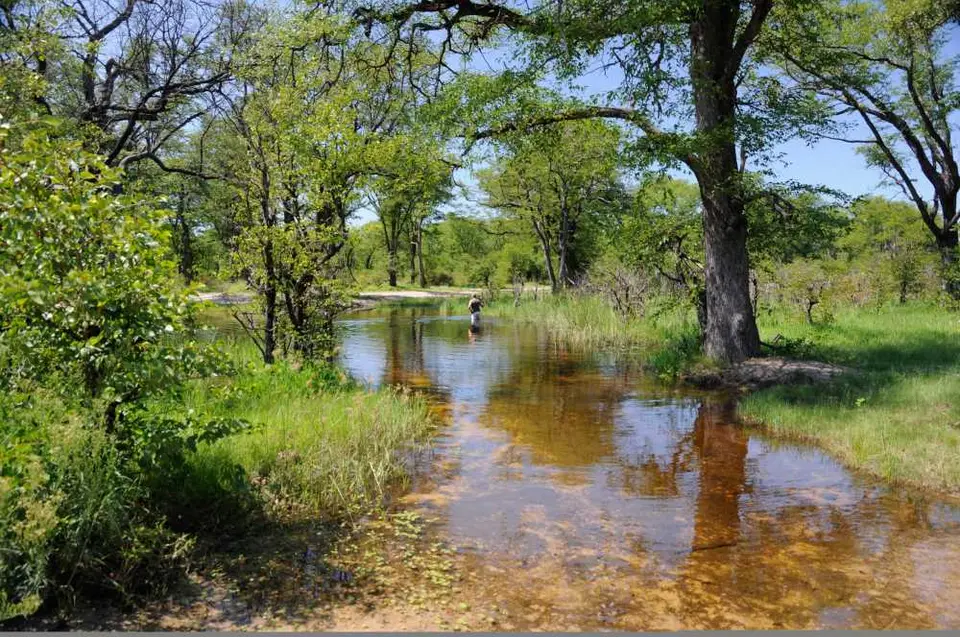 Wasser_Moremi.jpg