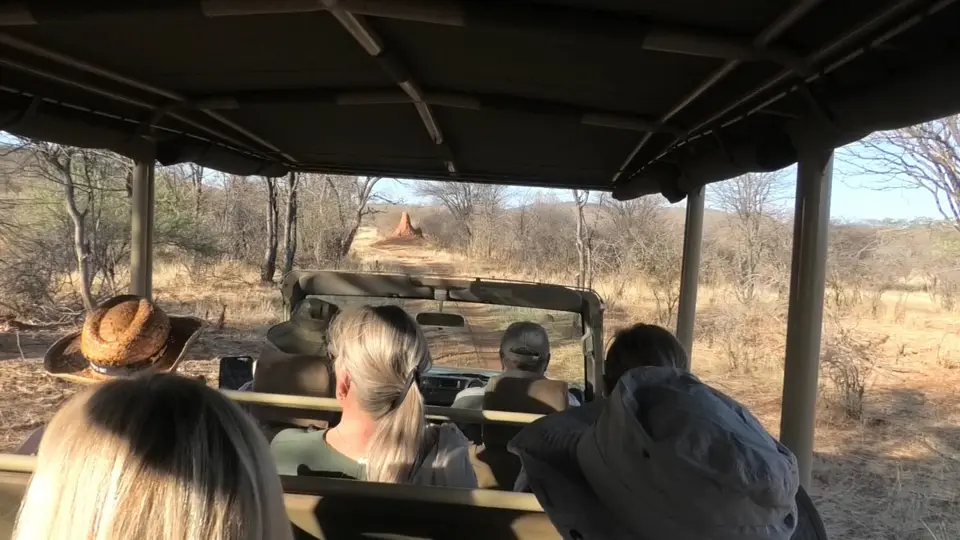 Game-Drive3.jpg
