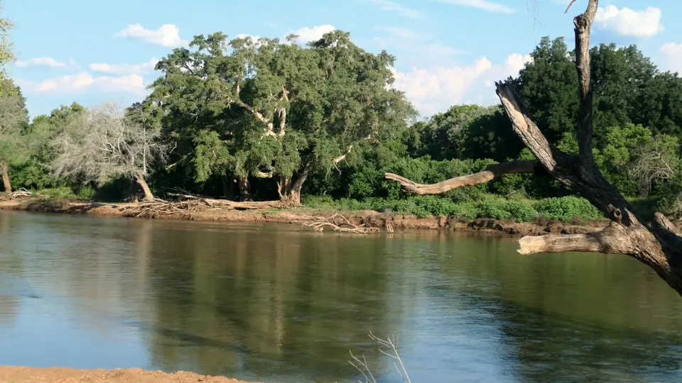 P1012134.JPG