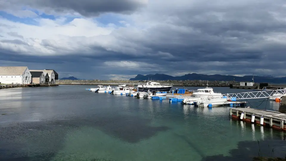 P1024154.JPG