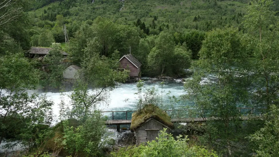P1034846.JPG